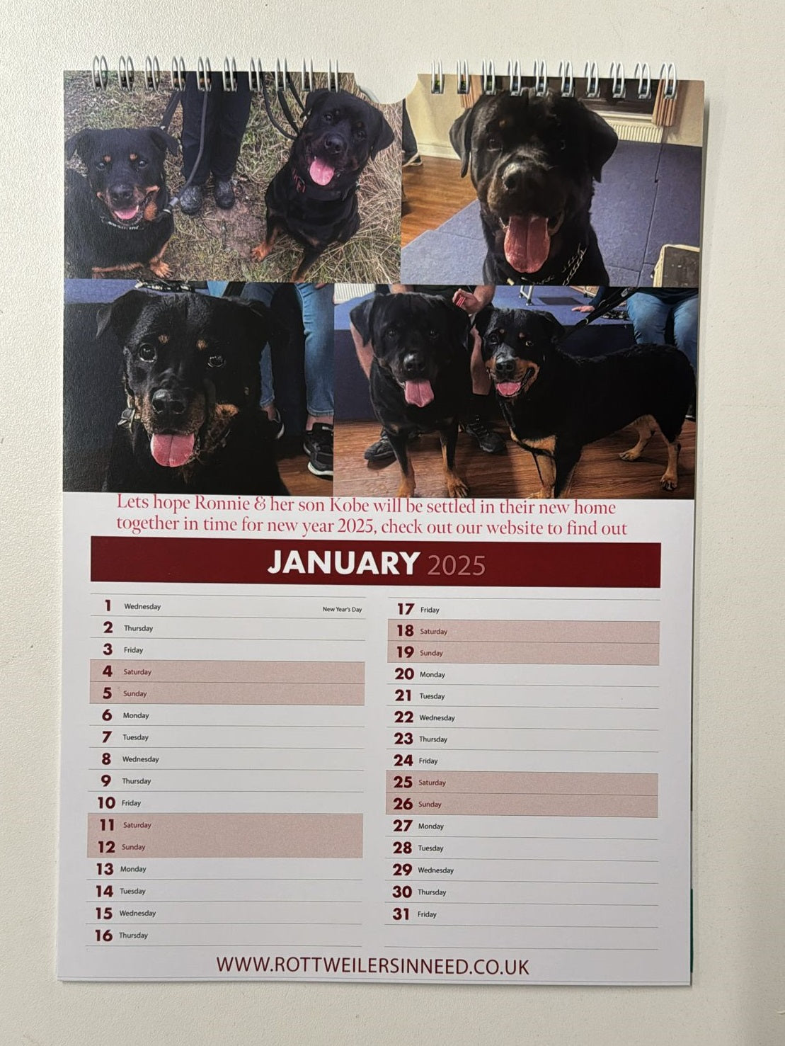 Rottweilers In Need Calendar